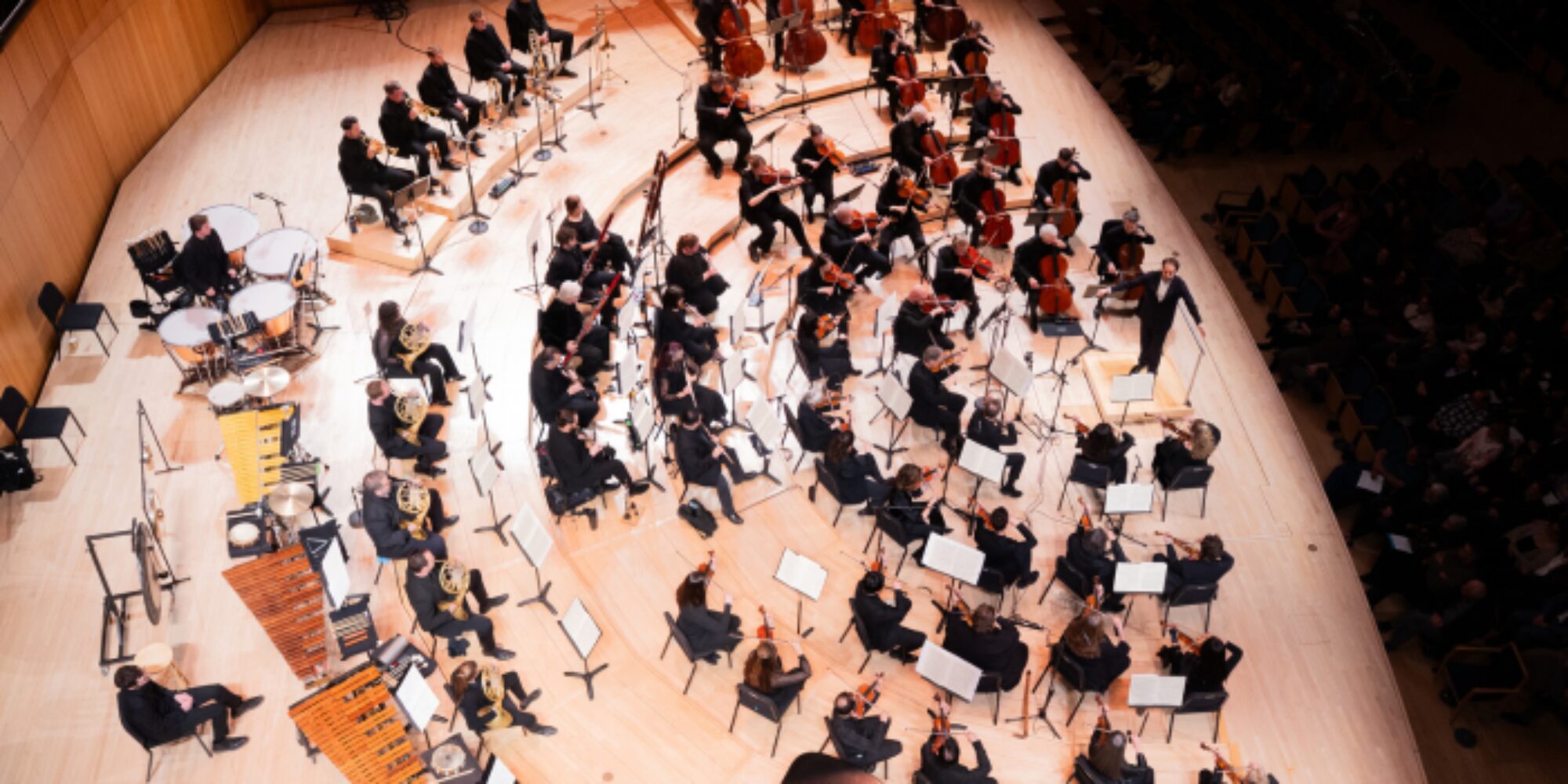 Brahms npm